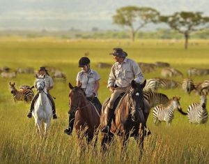 Abloom Activities Horseback Safari